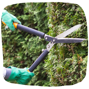 je tuin klaar maken voor de verkoop