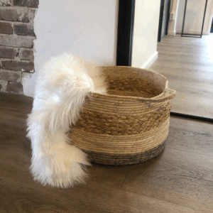 GoRound Interior Mand Mascaw