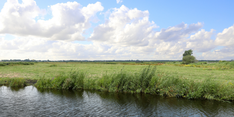 Landsmeer