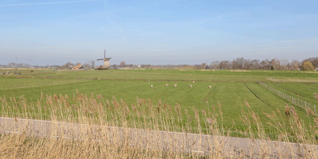 HR-makelaars-wijdewormer1