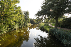 Groen-water-276-x184 (1)