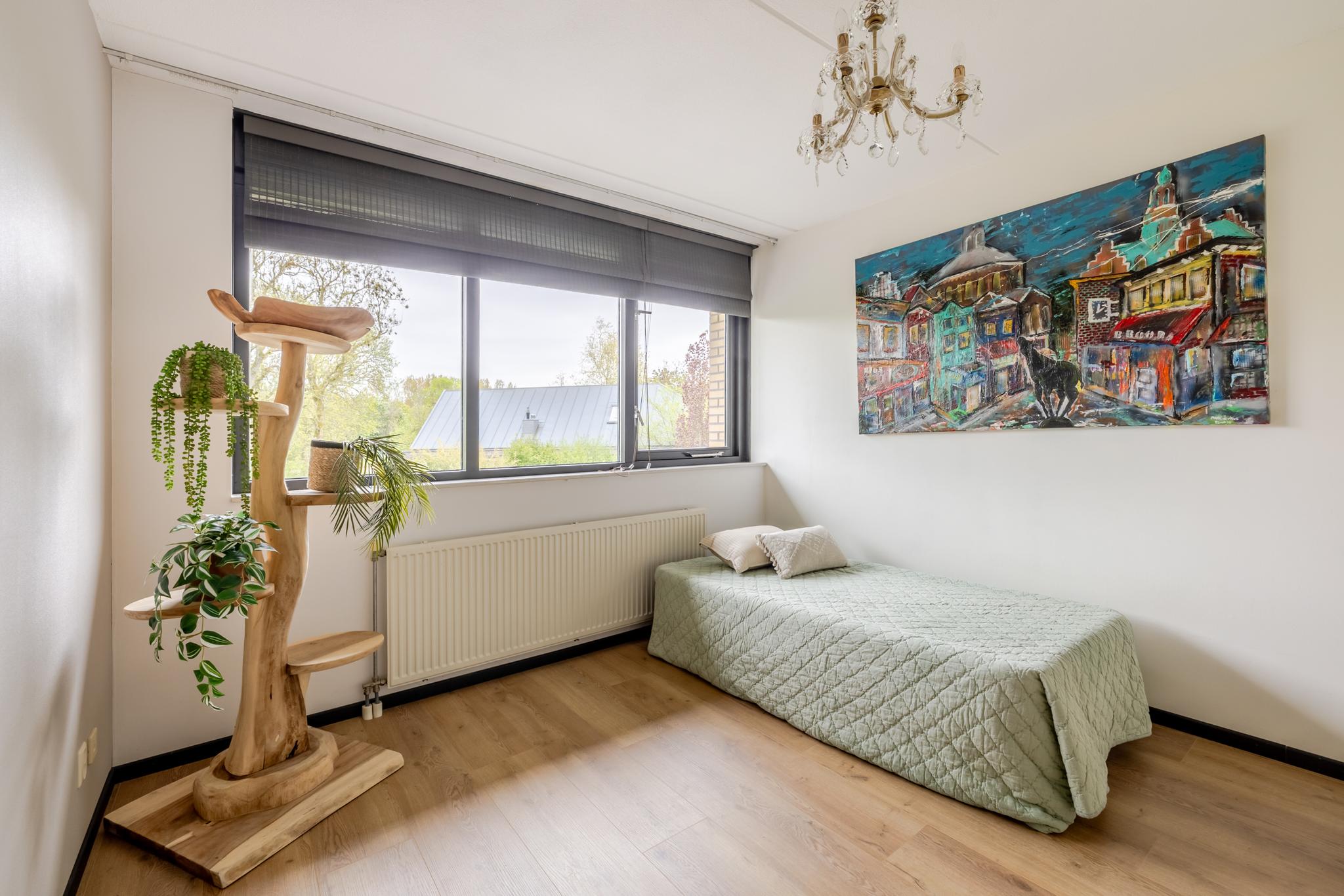 Foto 29
