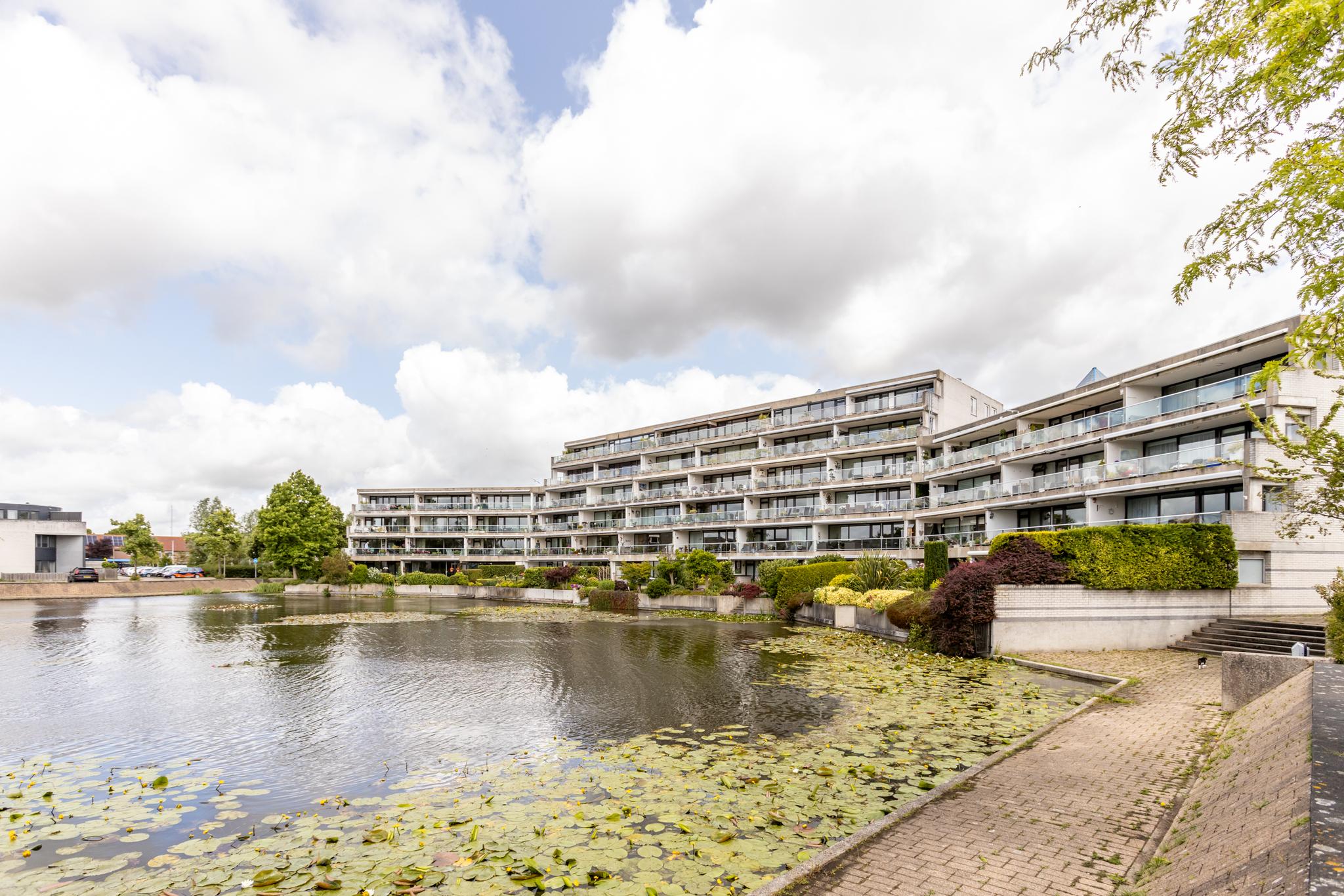 Foto 43